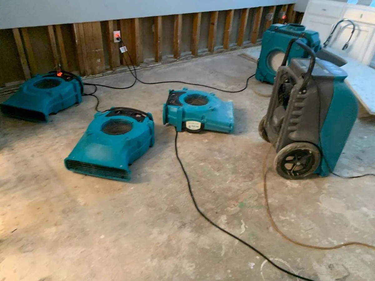 Drying & Dehumidification in Chico, CA